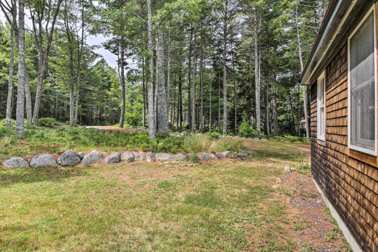 Hidden Gem Cottage Near Blue Hill Peninsula Brooklin Exterior foto