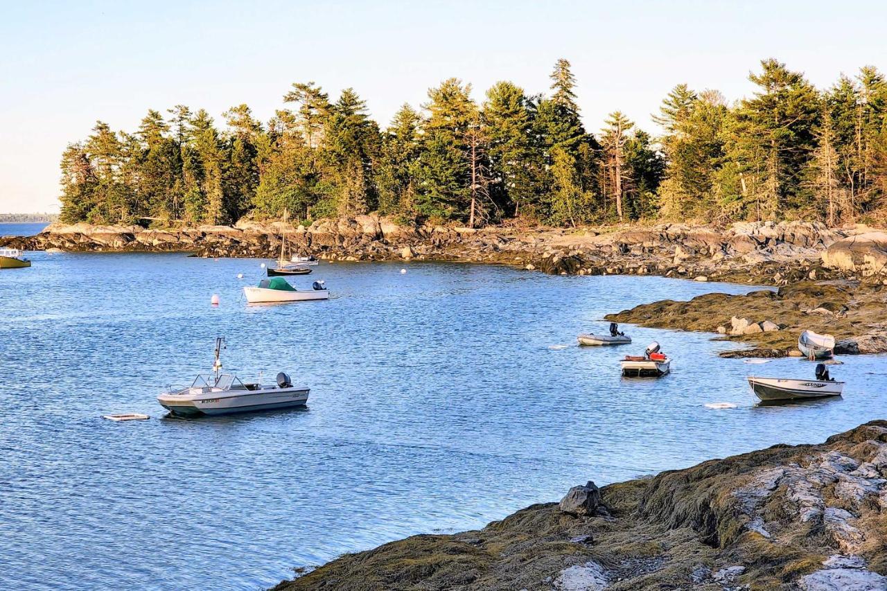 Hidden Gem Cottage Near Blue Hill Peninsula Brooklin Exterior foto